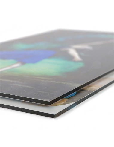 Cuadro de dibond personalizado